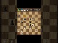 Checkmate Chess Gameplay #chess