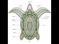 The World S Largest Floating City Ever NRK INTELLIGENCE The World S Largest Floating City Ever NRK INTELLIGENCE