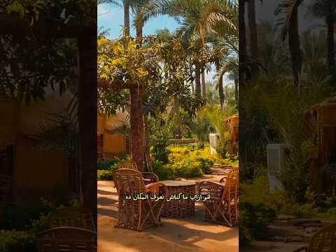 اكتبلي تعليق وهبعتلك تفاصيل اوتنج الي ريف دهشور سفر ريف المصري دهشور