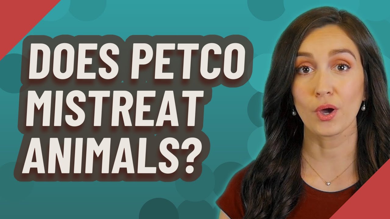 Does Petco mistreat animals? YouTube