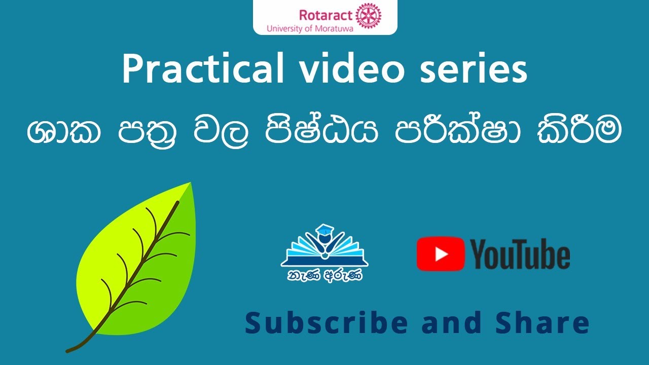 ශාක පත්‍ර වල ඇති පිෂ්ඨය පරීක්ෂා කිරීම