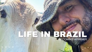 Becoming A Farmer - Life In Brazil - Raising Cows, Fish Pond, Growing Our Own Food