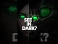 What If Humans Had Night Vision? | See in Complete Darkness