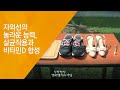 자외선의 놀라운 능력 살균작용과 비타민D 합성 2010 7 22 339회 방송 2010 여름피부 보고서 자외선의 놀라운 능력 살균작용과 비타민D 합성 2010 7 22 339회 방송 2010 여름피부 보고서