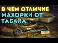 В чем отличие махорки от табака