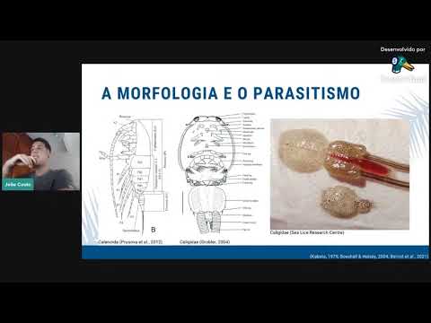 Vídeo: Por que os copépodes pulam?