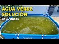 COMO TRATAR EL AGUA VERDE EN 10 HORAS (2021)