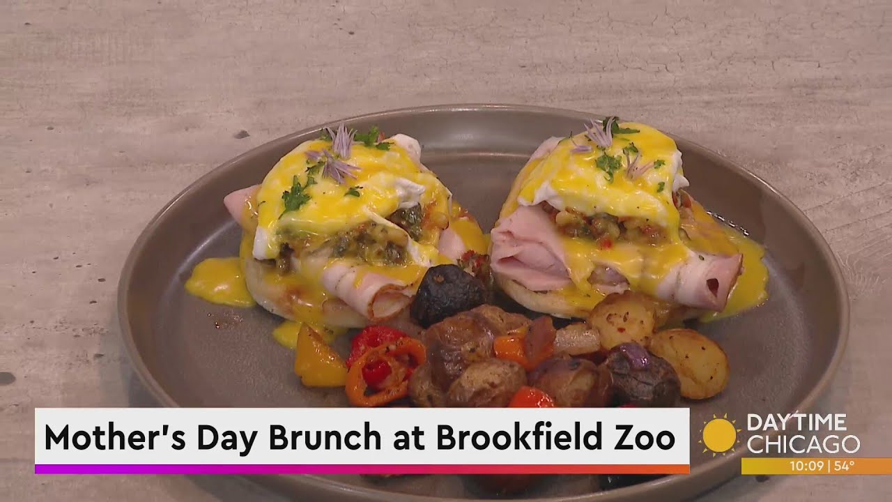 Mother's Day Brunch at Brookfield Zoo YouTube