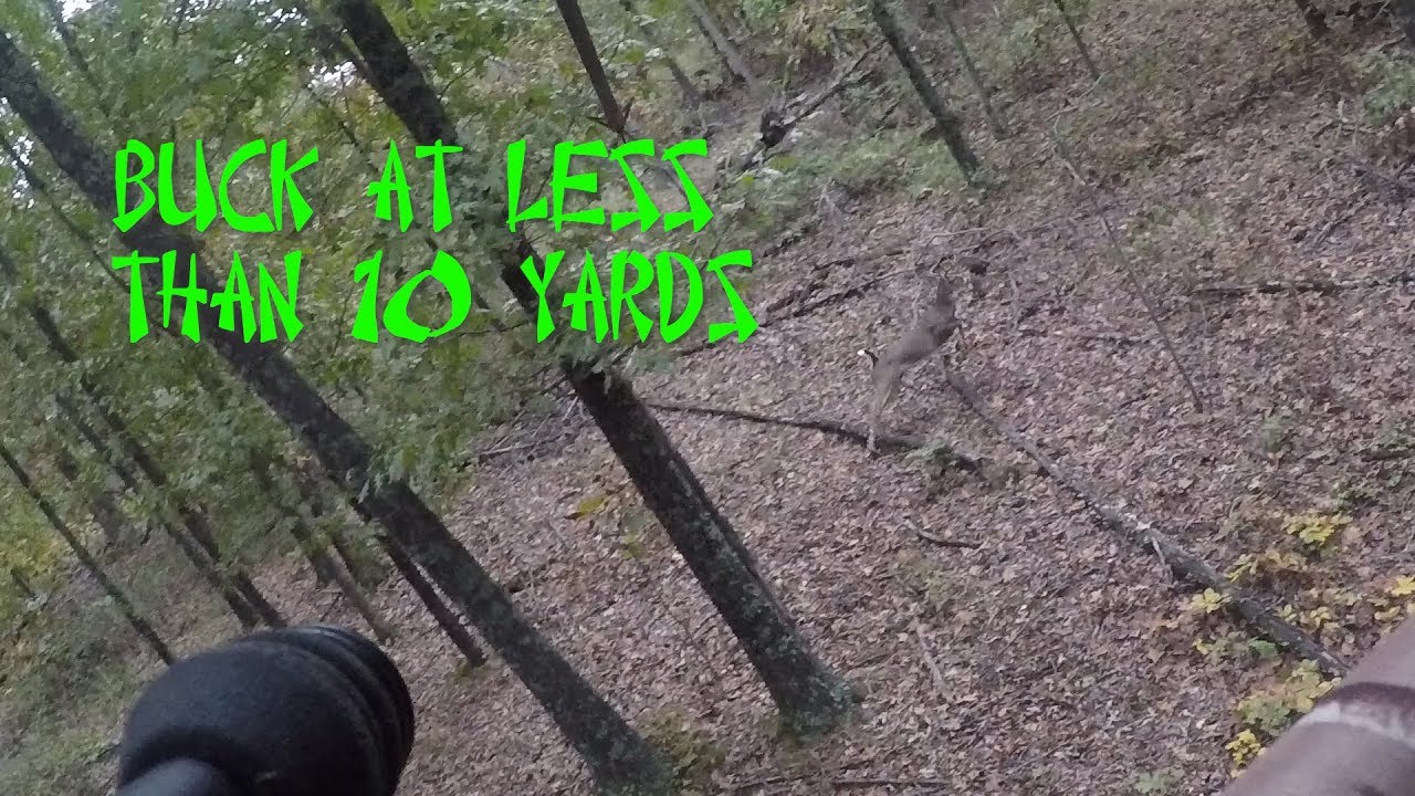 2018 Early Bow Season Highlights Deer Hunting Missouri YouTube