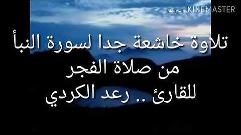 تلاوة خاشعه جدا بصوت مؤثر لسورة النبأ من صلاة الفجر للقارئ رعد الكردي