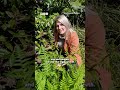 Lizzie Schofield on how to deadhead a Rhododendron | #BeechgroveGarden #Gardening