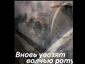 музыка вновь увозят волчью роту