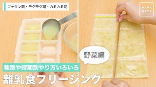 種別や時期別やり方いろいろ 離乳食フリージング野菜編