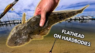 Swan River FLATHEAD on HARDBODIES (Midday)