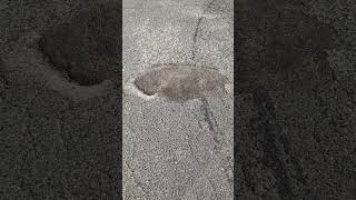 IMG 3773