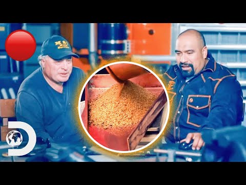 🔴 Gold Changing Families Lives! | Gold Rush: Mine Rescue With Freddy & Juan