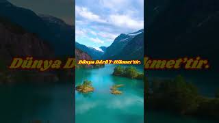 Dünya Darül-Hikmettir.