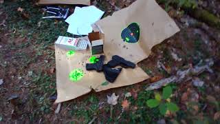 Ruger mini14 first shots
