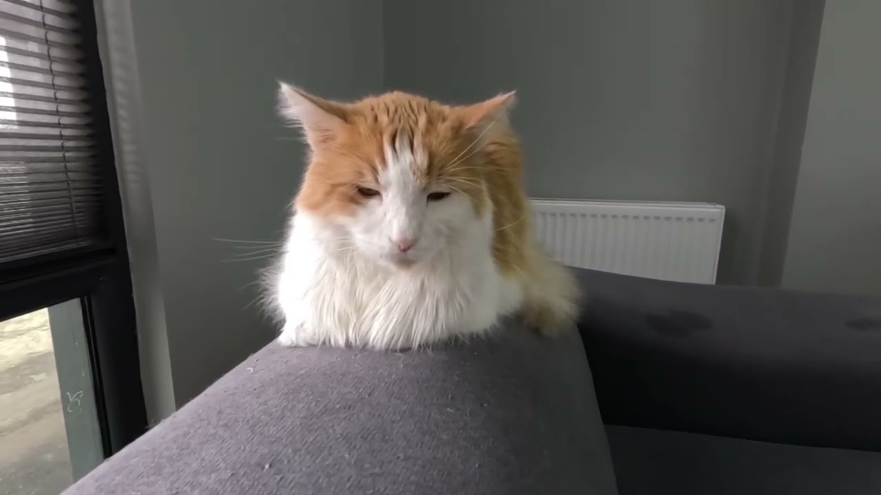 İLAÇ AZALTIYORUZ, GÖZÜMÜZ PÜR DİKKAT FIRILDAK'TA