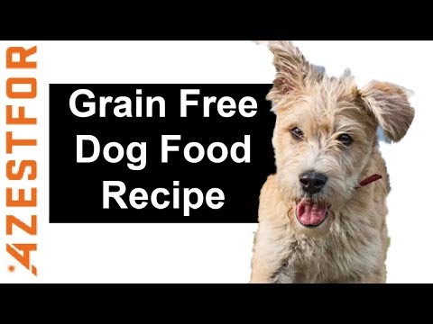 homemade-dog-food-recipe---grain-free-ingredients-beef-asparagus-peas