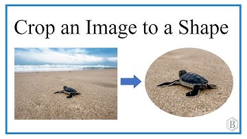 How to Crop an Image to a Shape in Microsoft Word