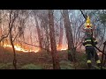 Тоскана: пламя вышло из под контроля, проведена эвакуация