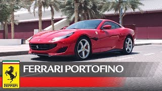 The ferrari portofino. supreme sportiness for perfect score.
#ferrariportofino #drivingferrari #middleeast #ksa #saudiarabia
portofino: combined ...