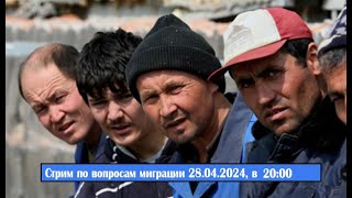 Стрим по вопросам миграции 28.04.2024, в 20:00