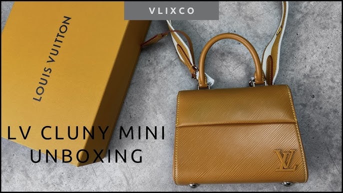 LOUIS VUITTON CLUNNY MINI UNBOXING  FIRST IMPRESSION & WHAT FITS 