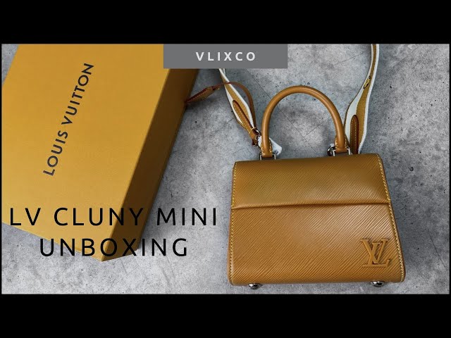 Louis Vuitton EPI Cluny Mini Top Handle Bag