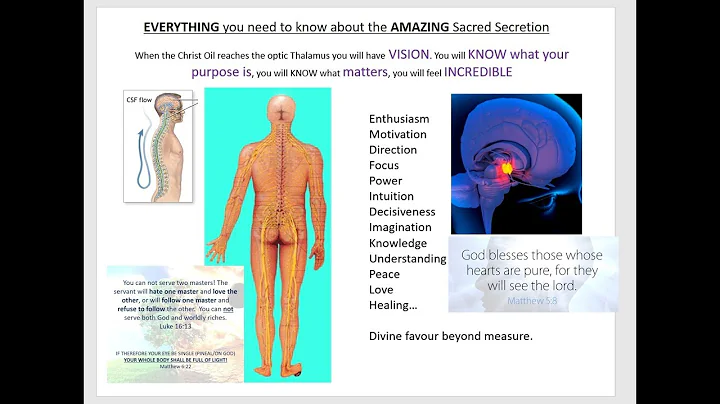 Sacred Secretion / Christ Oil / True Anointing - H...