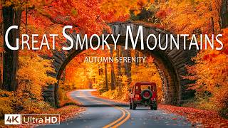 Great Smoky Mountains Autumn 4K 🍁 Sweeping Newfound Gap Fiery Slopes & Endless Vistas UHD