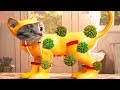 Fun pet care game  little kitten adventures  play costume dressup party mini games for children