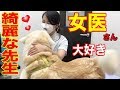 愛しの女医さん.秋田犬.感激・綺麗な先生・Loveタッチ♪veterinary hospital