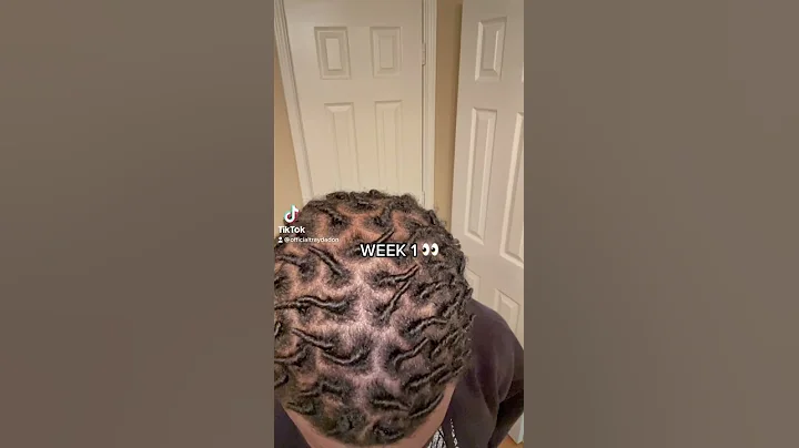 Starter Loc Journey. comment good organic products #dreadlocks #locjourney #locstyles #starterlocs