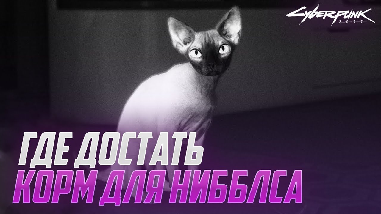Cyberpunk Где Купить Кошачий Корм