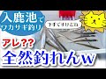 【全然釣れなかった】入鹿池でワカサギ釣り