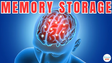 How Does The Brain Store and Retrieve Memories?