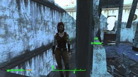 PS4 Fallout 4 Bug - Rendering problems again