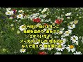 さすらい花.....石原裕次郎.....人生の想い出の唄。人生を楽しみましょう。。