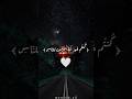 كنتم خير أمة اخرجت للناس تأمرون بالمعروف وتنهون عن المنكر القارئ مرزوق علي