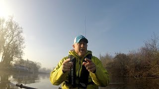 Small Fish, Salmon, and Stick Fish