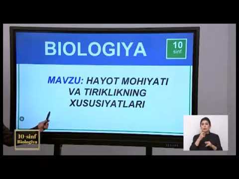 Video: Hayvon hujayrasi va o'simlik hujayrasi o'rtasidagi farq nima?