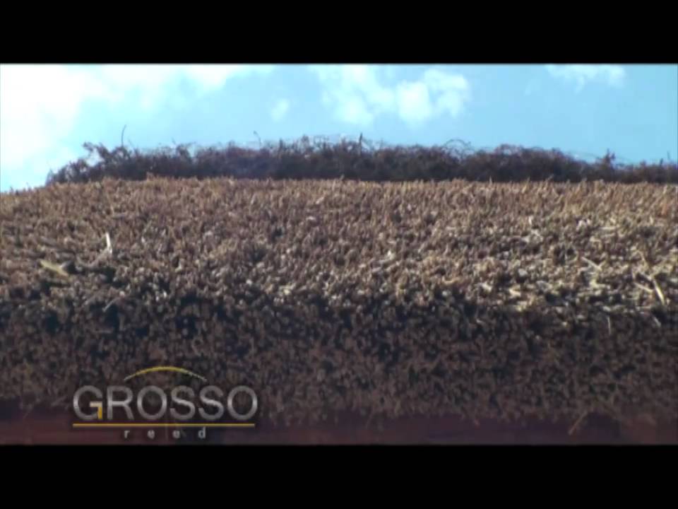 Grosso Odessa - Кровли из камыша
