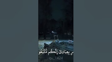 #اكسبلور #القزابري #راحة_نفسية #المصحف #الرحمن  سورة الشعراء   ماهر المعيقلي