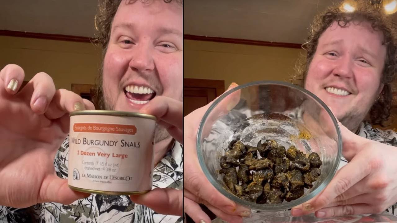 Canned Snails YouTube