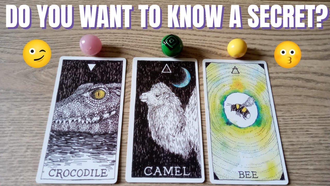 🤫WHAT SECRET THOUGHTS DO THEY HAVE THAT YOU ARE ALLOWED TO KNOW?🤫Pick a card: 💖 Love Tarot🔐💖