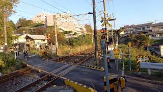 #1097レ#サメEF66―129号機