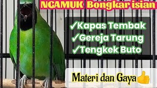 cucak ijo ngamuk || nagen 1 titik bongkar isian
