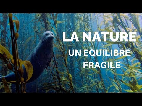 Vidéo: Qu'entend-on par équilibre de la nature ?